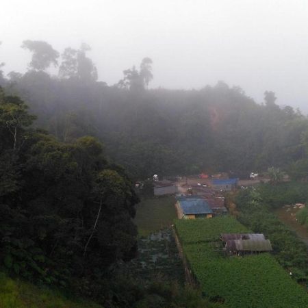 The Pines Hotel Kampung Kuala Terla Екстер'єр фото