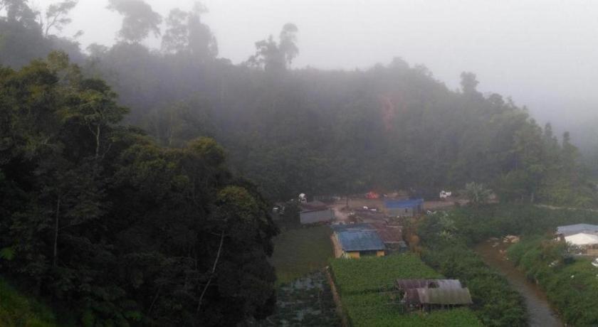 The Pines Hotel Kampung Kuala Terla Екстер'єр фото