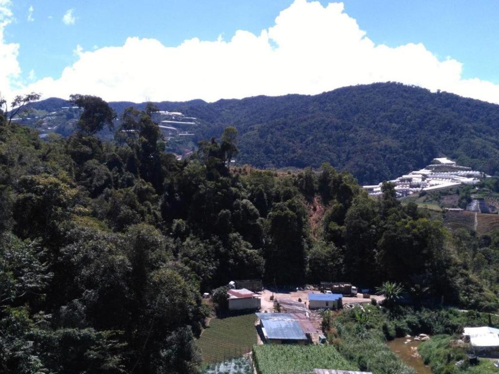 The Pines Hotel Kampung Kuala Terla Екстер'єр фото