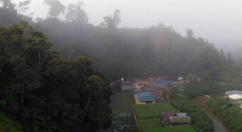 The Pines Hotel Kampung Kuala Terla Екстер'єр фото